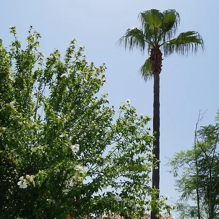 Casa Gema *